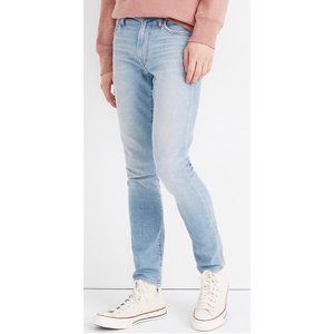Madewell Skinny Jeans in Channing Wash